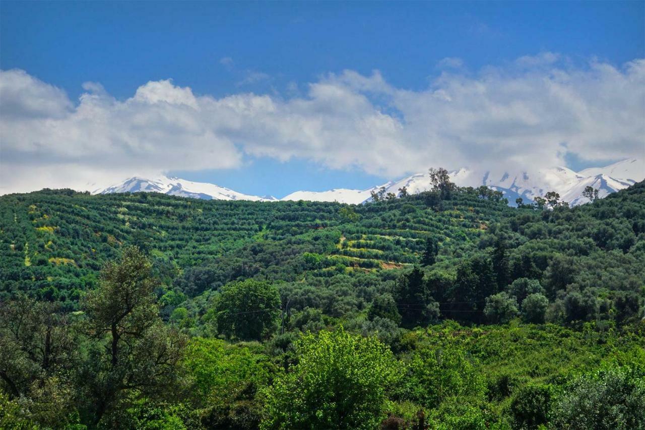 Anthos Village Agia  ภายนอก รูปภาพ